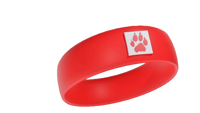 iCollar Ember Red smart collar